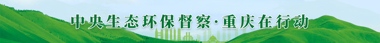 中央環境督查
